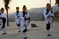 浙江麗水道家養(yǎng)生小鎮(zhèn)