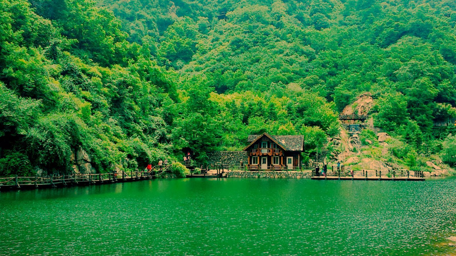 獅創(chuàng)團隊赴山東德州梨樹鼻祖項目地考察