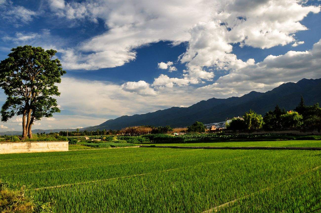 諾獅團(tuán)隊(duì)前赴溫州，展開(kāi)田園綜合體系列項(xiàng)目考察