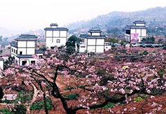 旅游地產(chǎn)策劃與開發(fā)模式，不只有度假地產(chǎn)和文旅小鎮(zhèn)