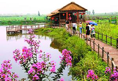 【休閑農業(yè)】農業(yè)部聯(lián)手國家旅游局推進休閑農業(yè)發(fā)展